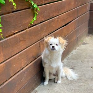 Meet your Posher, Katelyn